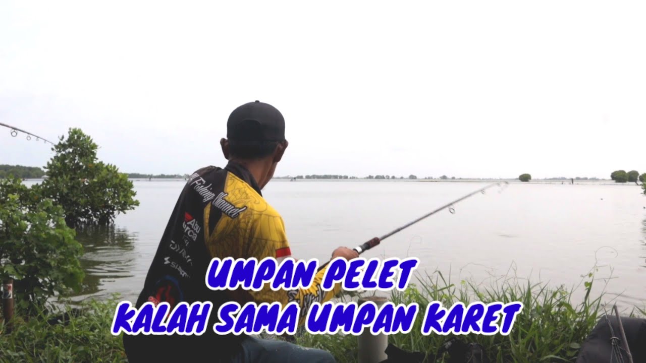 MANCING BANDENG KALAH CEPAT SAMA SEBELAH | FULL TANPA SKIP