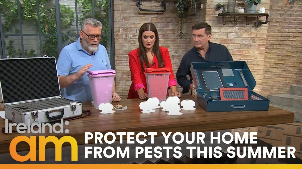 Effective Tips to Keep Summer Pests Out of Your Home