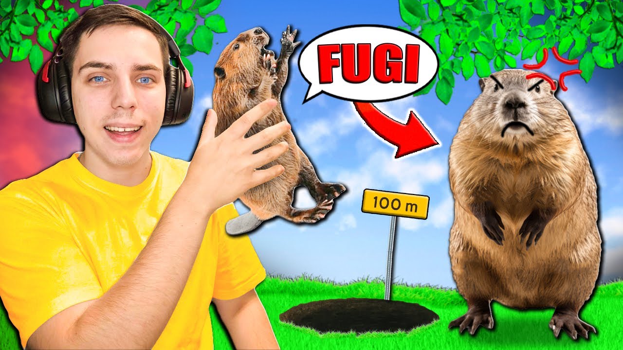NU te Juca cu BOBER 😂