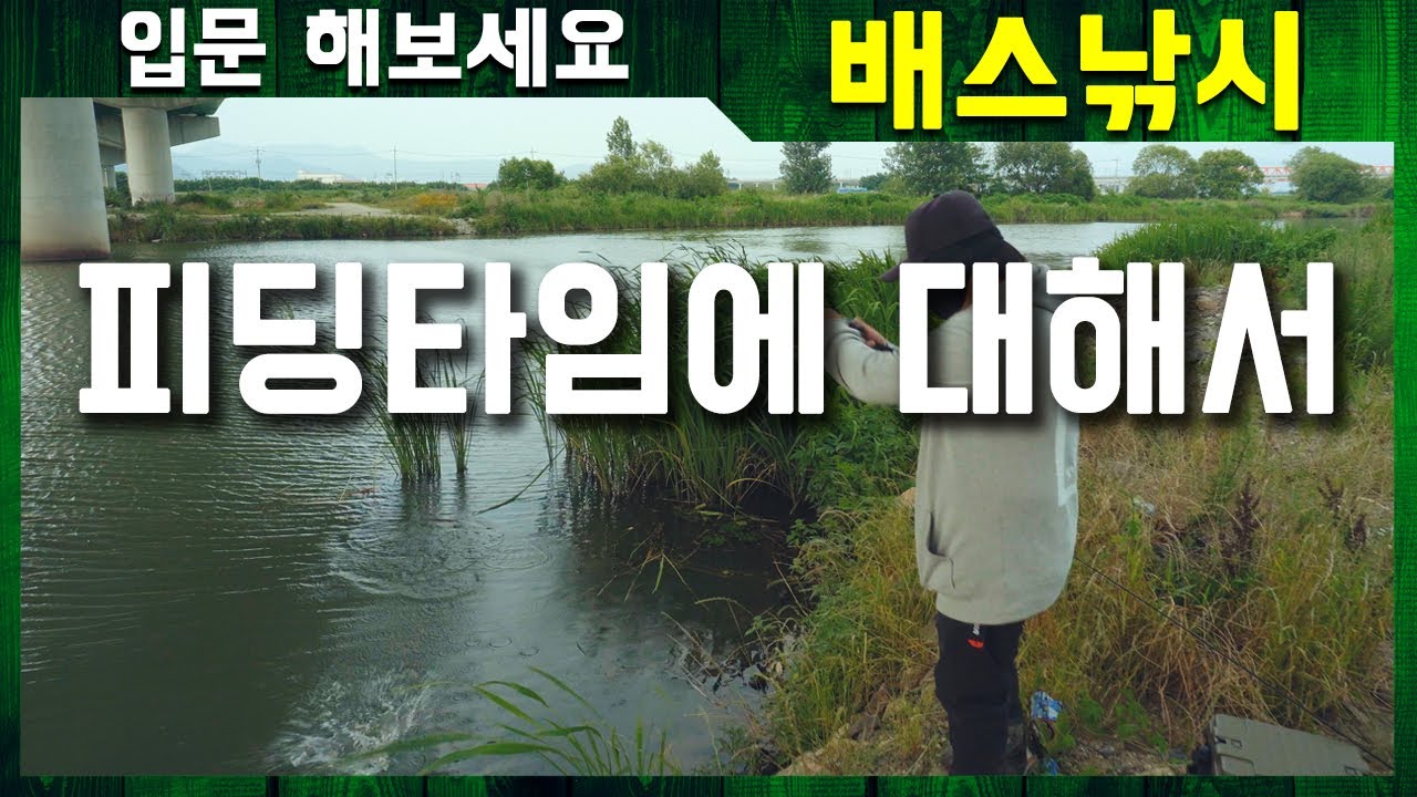 피딩타임에 대해서｜입문 해보세요 배스낚시-피딩타임 [4k]
