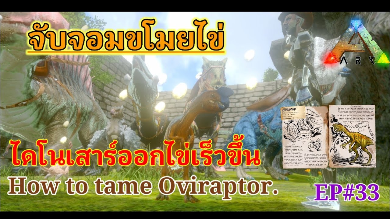 #ARKMOBILE EP#33 จับโอวีแรปเตอร์-เทคนิคทำให้สัตว์ไข่เร็วขึ้น/How to tame Oviraptor #Servival
