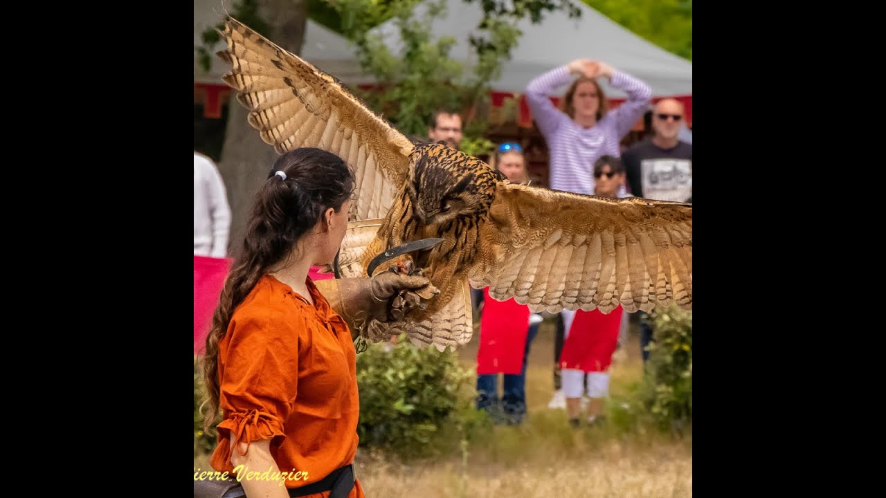 Teaser Festival Médiéval Sud Gironde Acte8! RDV les 8/9 Juin 2024, 33 720 Landiras!