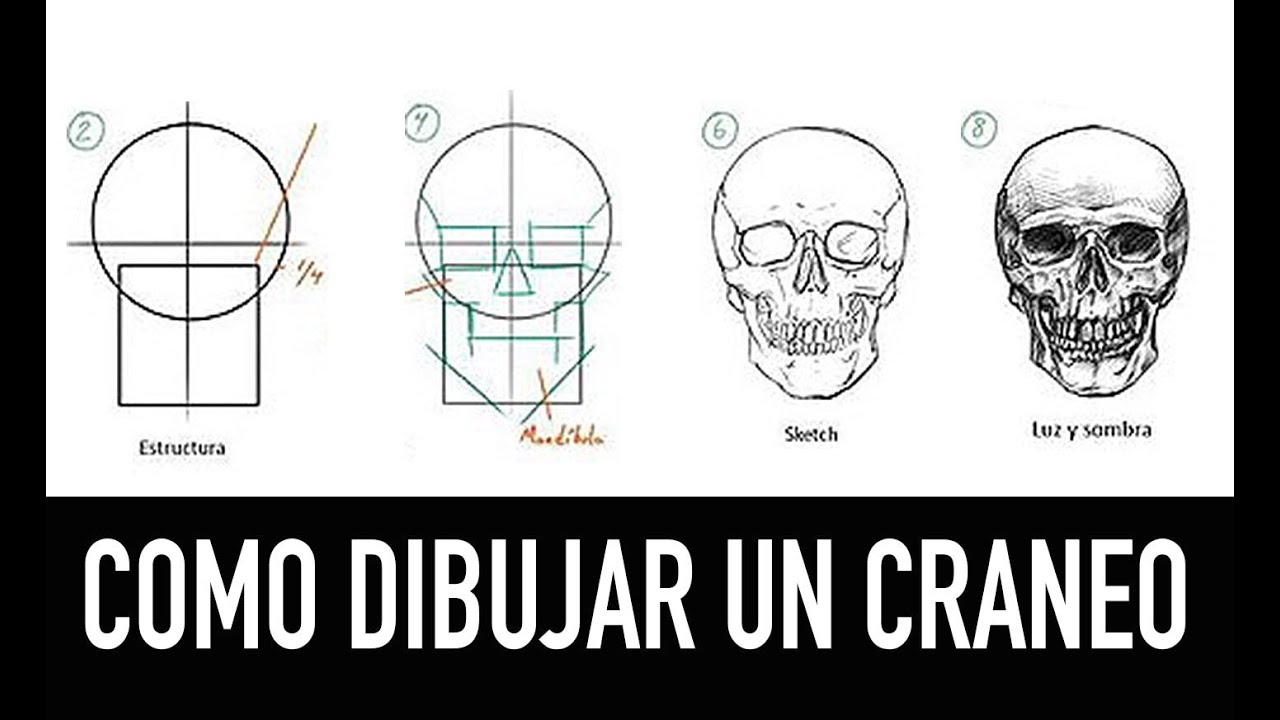 COMO DIBUJAR UN CRANEO FACIL, PASO A PASO.