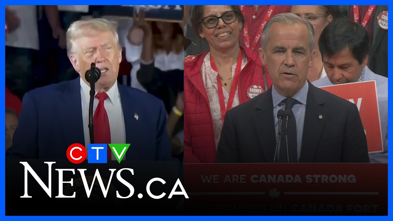 Новые пошлины Трампа &mdash; попытка обеспечить голоса на промежуточных выборах: мнение эксперта | Albe...