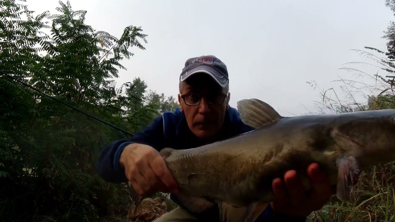 Feeder ai pescigatto americani....... #pesca #feeder #fiume