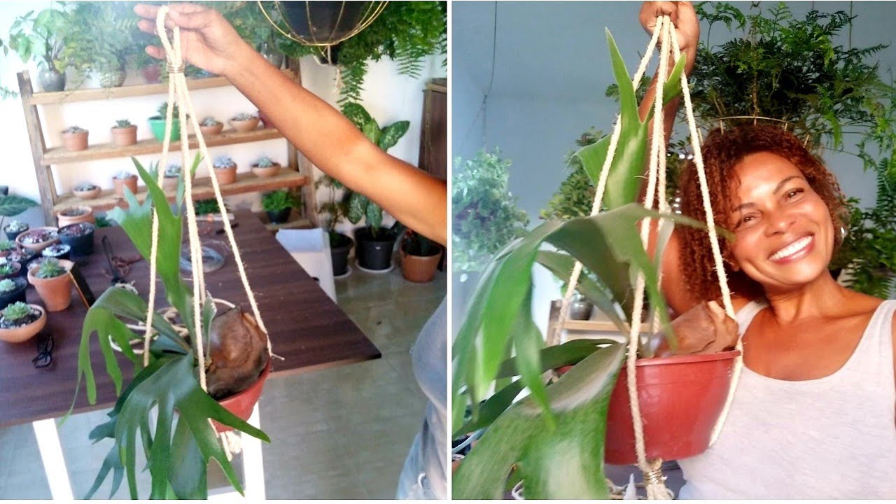 O SUPORTE PARA PLANTAS MAIS FÁCIL DO MUNDO PARA FAZER