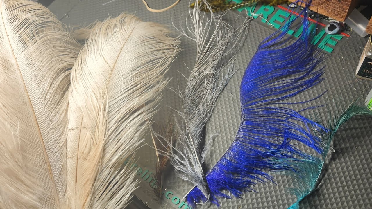 Stripping Ostrich or Rhea For Palmering