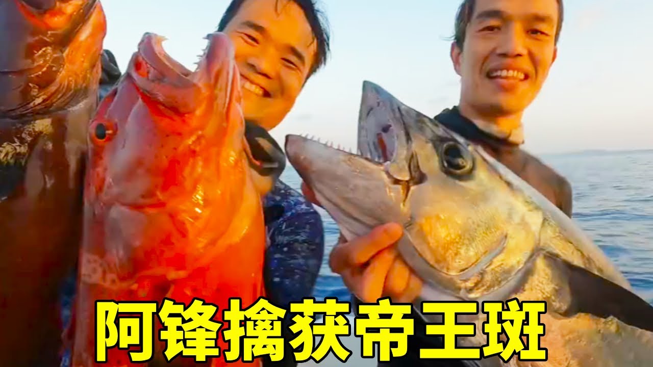 突破深海 30 米极限！阿锋擒获帝王斑，火锅一涮，老外直呼绝了【探海漁人】