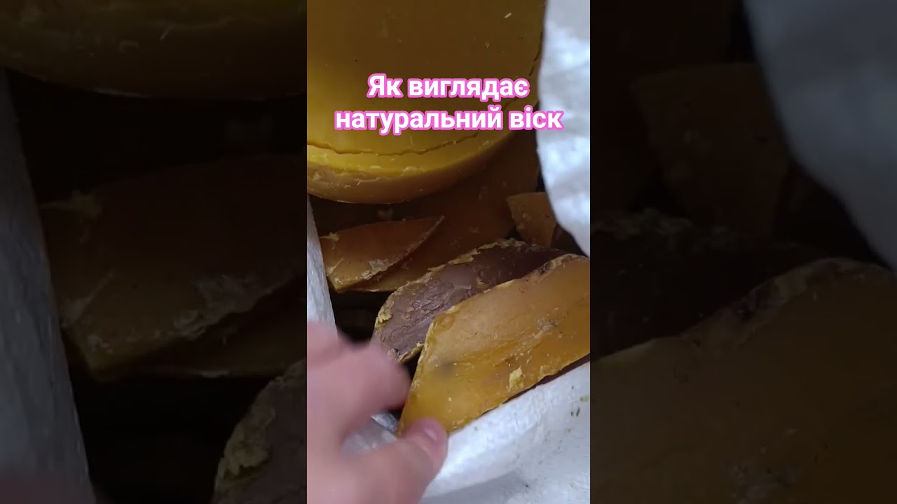 як виглядає натуральний бджолиний віск для свічок та відливок. Не церковні свічки. #магія #віск
