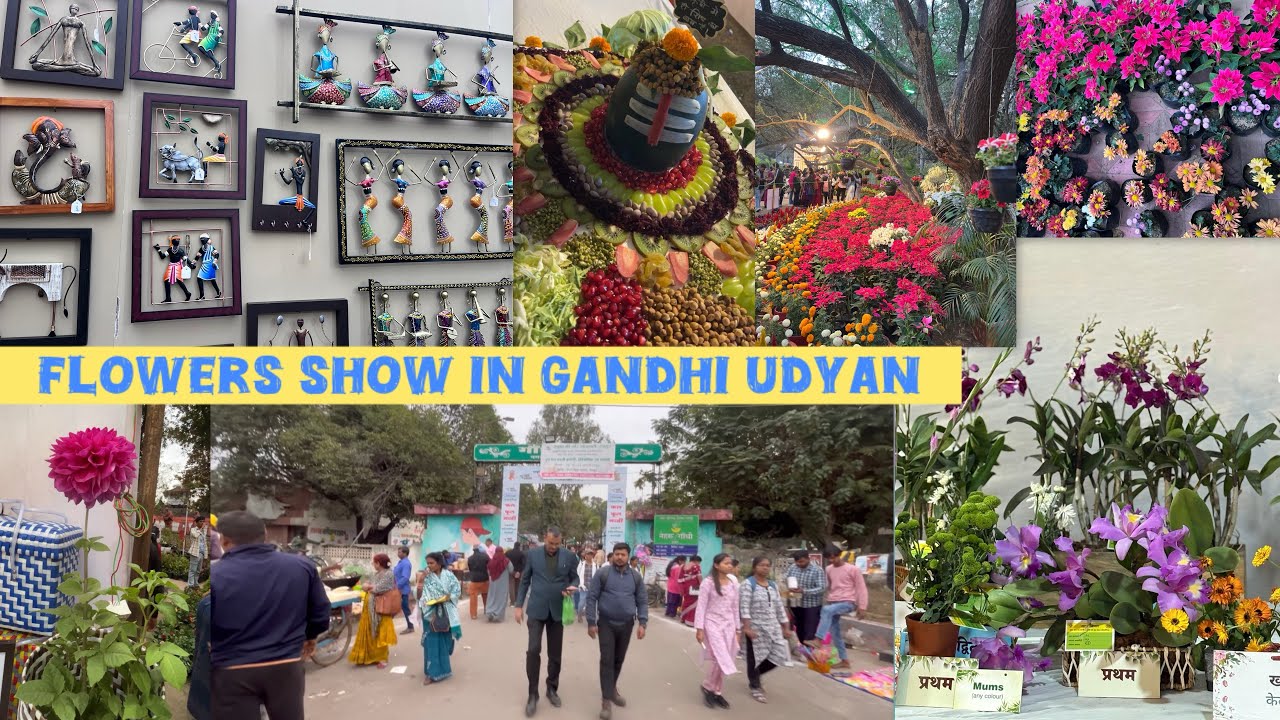 Flowers show in Gandhi udyan park Raipur (CG). 9,10,11 Jan 2026 #flowershow2026 #raipur #explore 🌸❤️