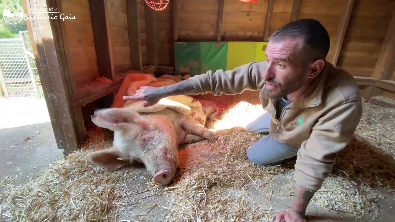 Patri vuelve a estar bien