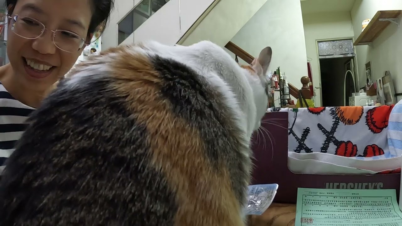 咪咪與霍曼的第一天～211那天