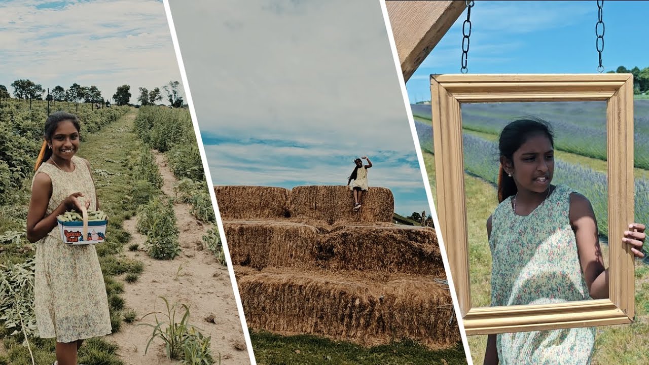 Adventures at Pingle's Farm