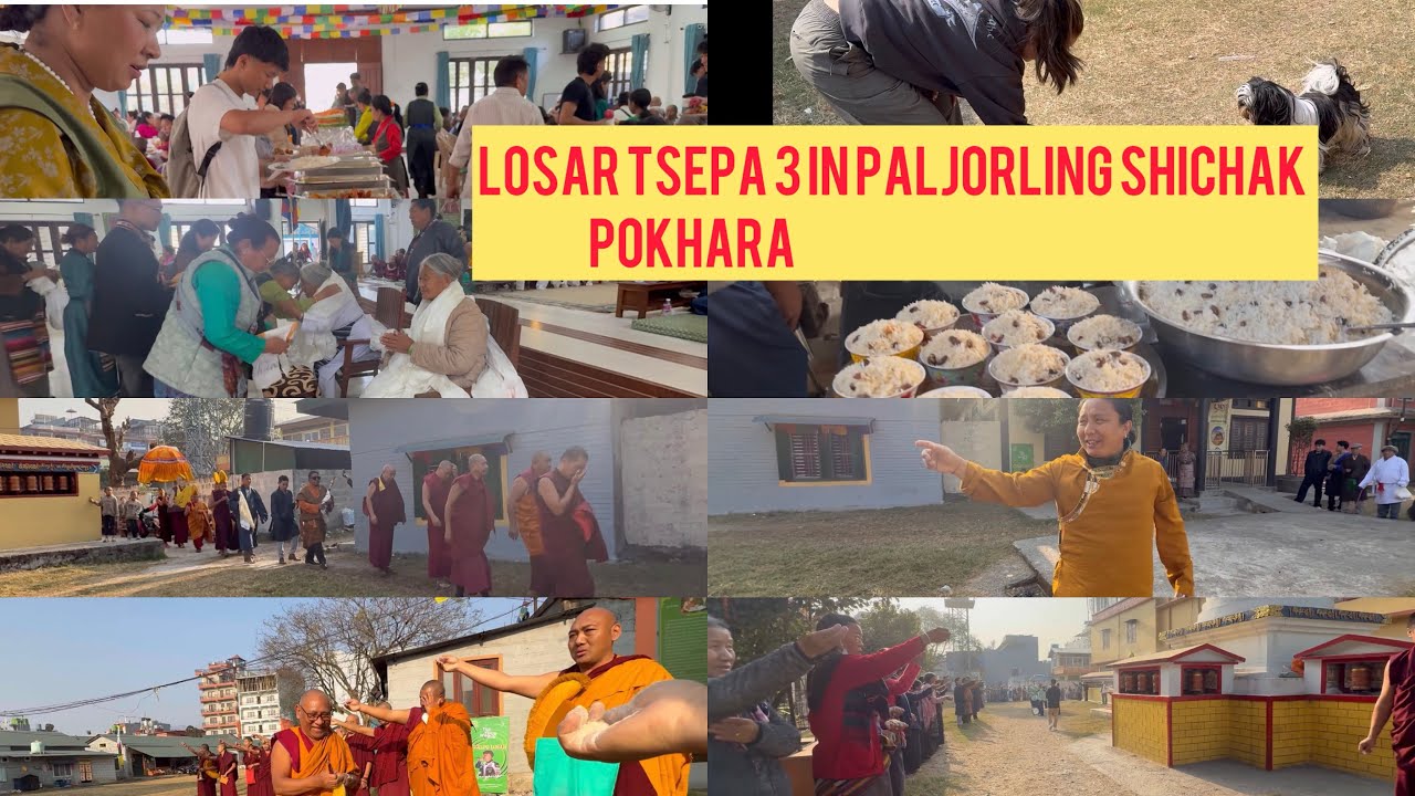 Paljorling Shichak Losar Tsepa 3 : UK Manchester 