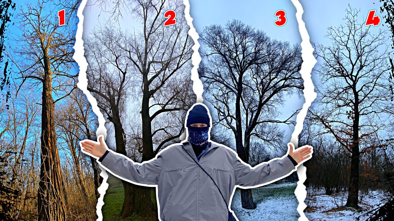 ПОКОРИЛ 4 ДЕРЕВА БОСИКОМ | как я их покорял от первого лица