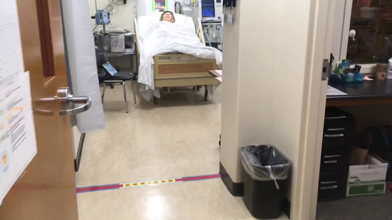Skyline College Simulation Lab Preview 2019