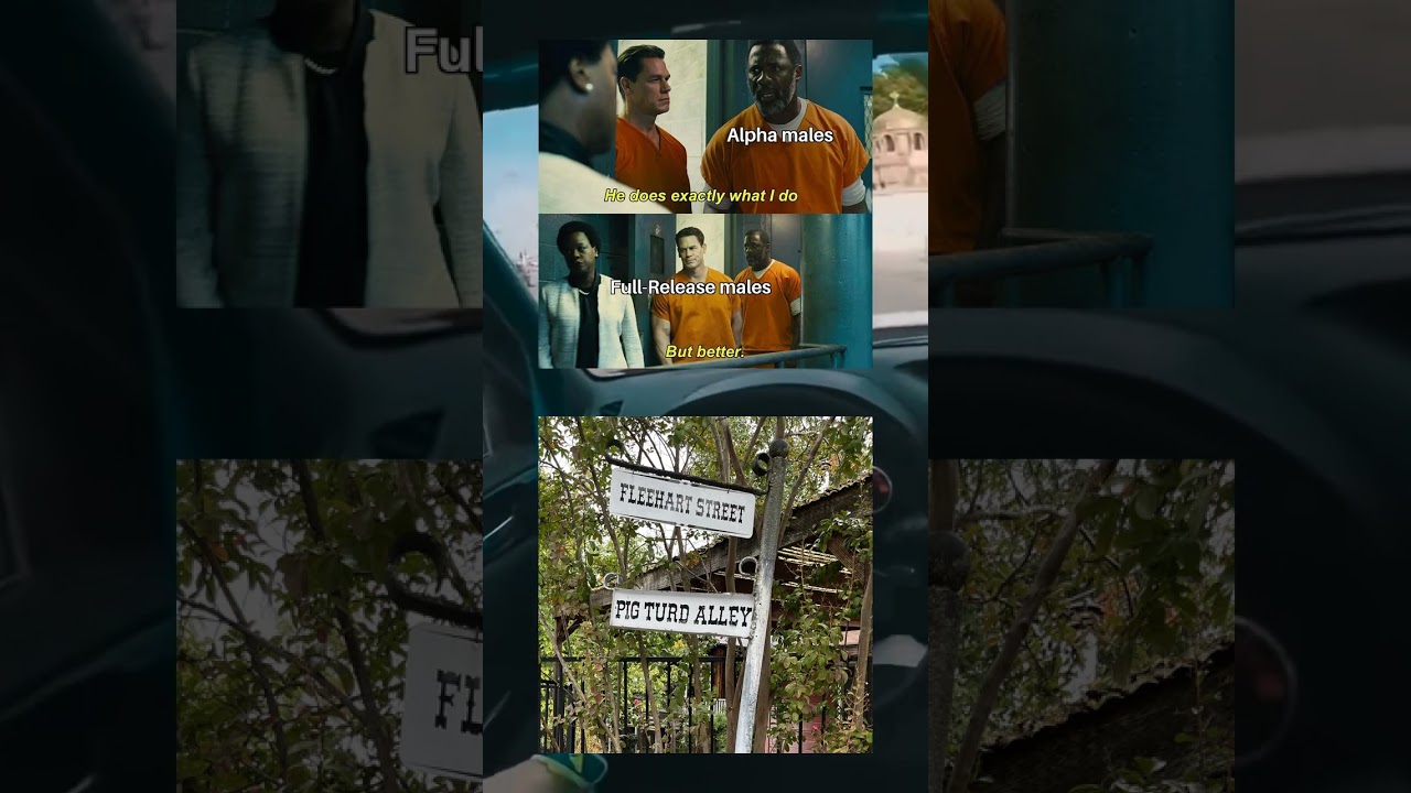 Feel Bad For Beta Males & Funny Street Name