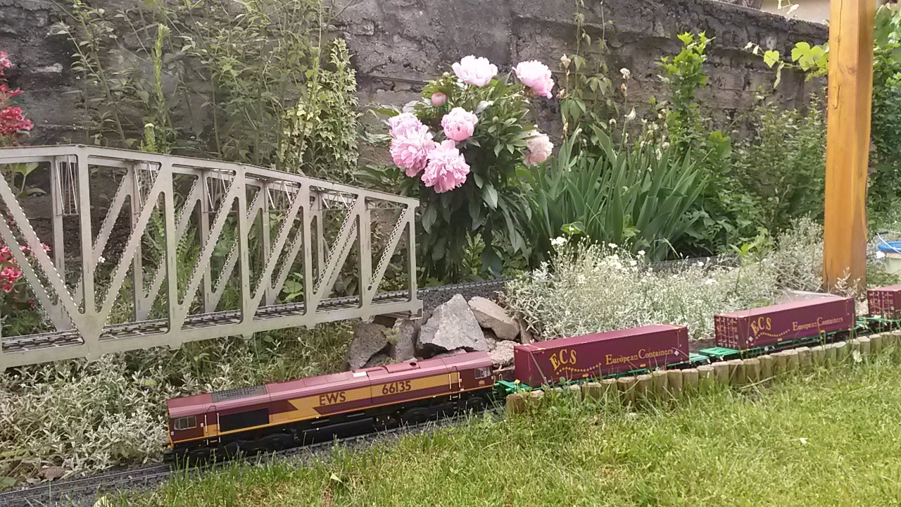 Aristo-Craft EWS Class 66 loco on garden railway (G scale)