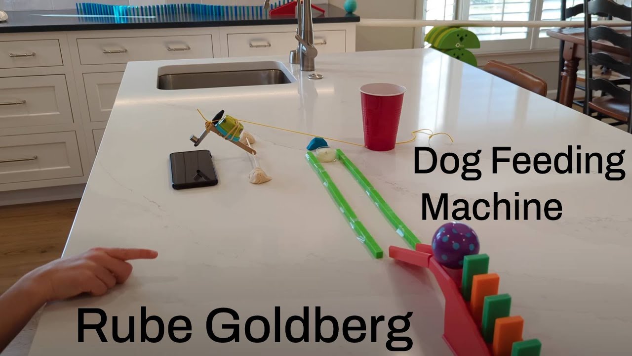 Rube Goldberg Dog Feeding Machine