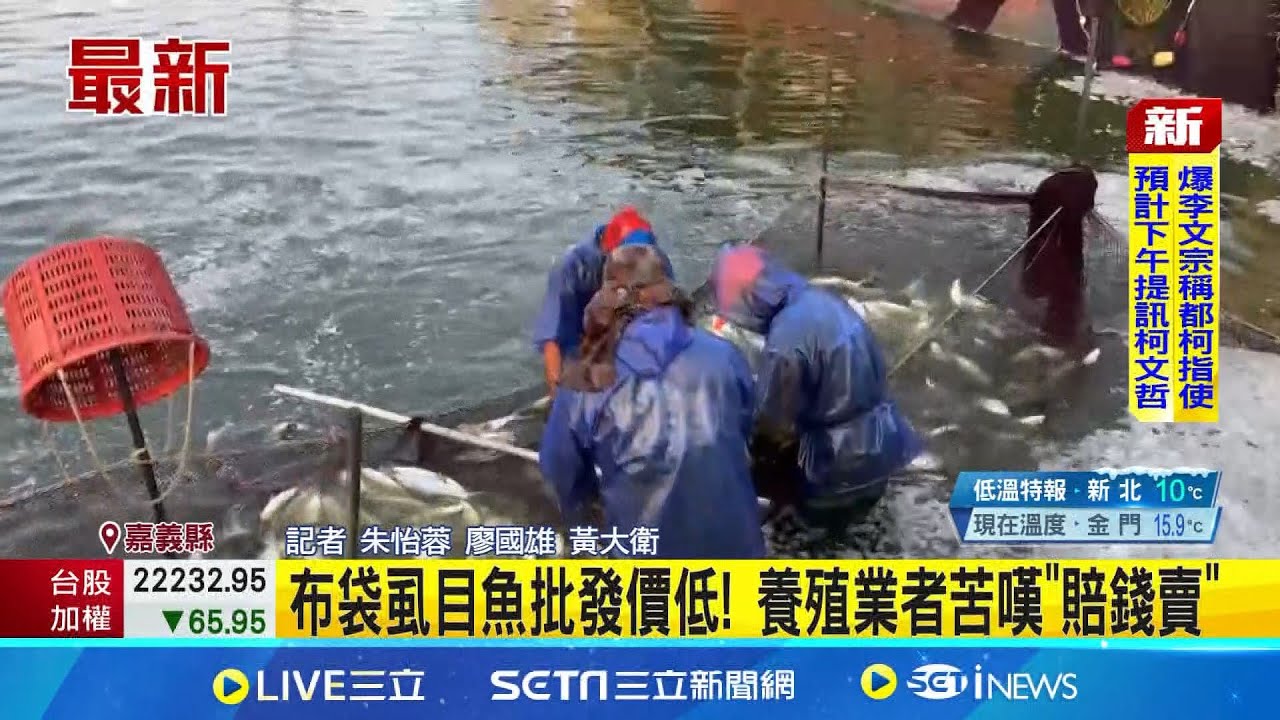 布袋虱目魚批發價低! 養殖業者苦嘆