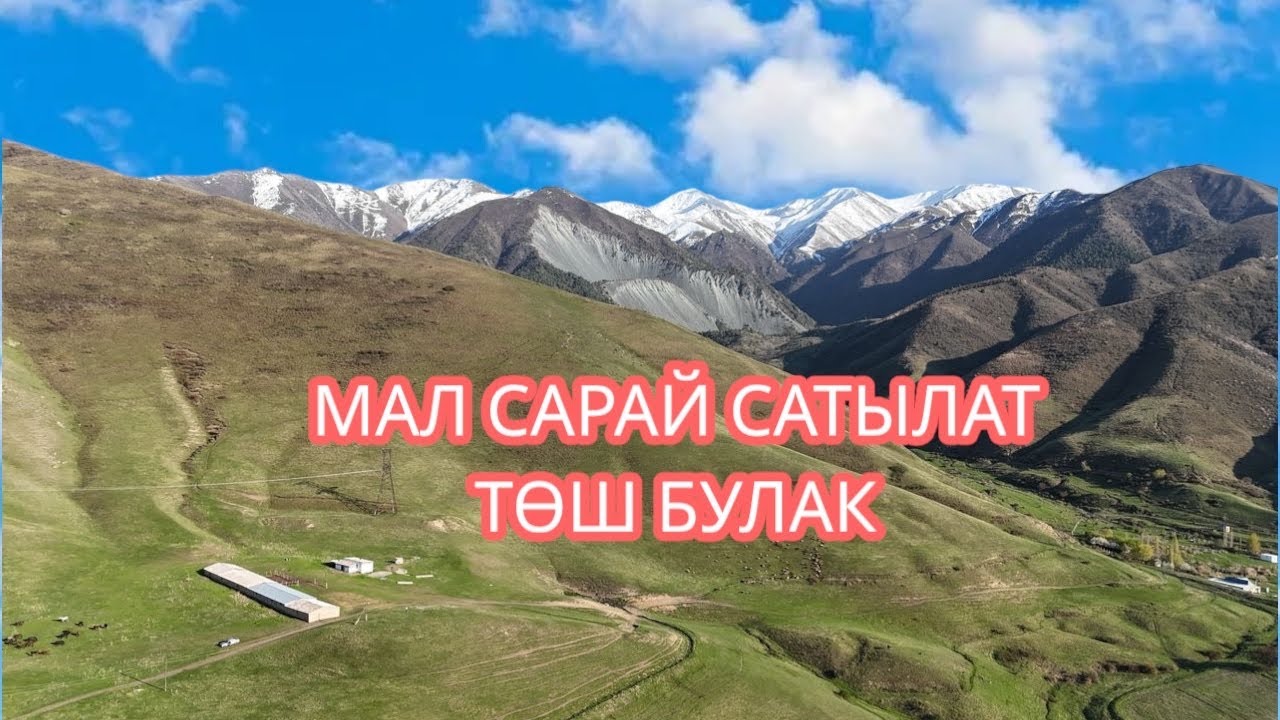 МАЛ САРАЙ САТЫЛАТ ТӨШ БУЛАК СОКУЛУК 2025