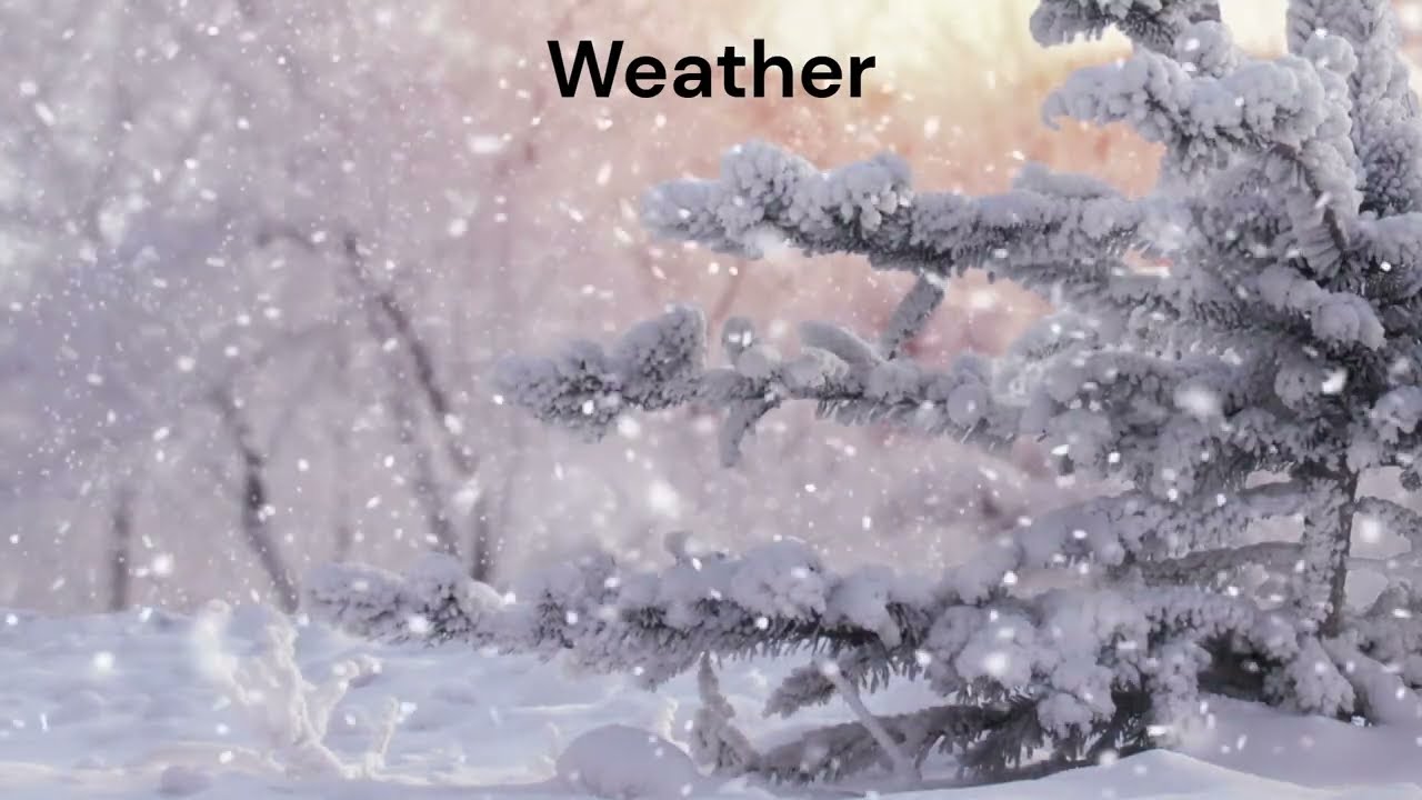 GWP Weekly News: March 16, 2026 Pt. 2