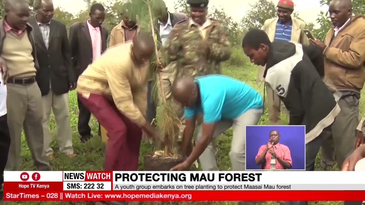 A youth group embarks on tree planting to protect Maasai Mau forest