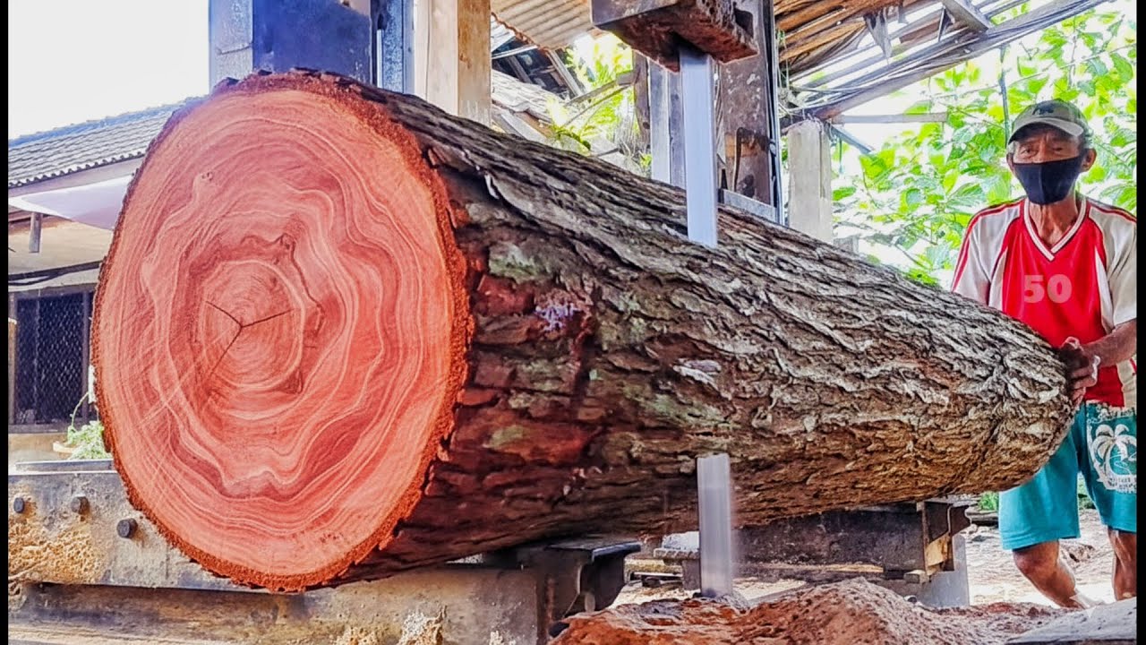 Unveiling the beautiful charm behind 🌲 mahogany logs transformed into quality boards. 
