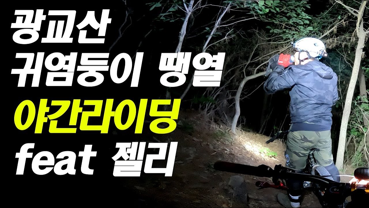 (야간라이딩) #광교산 라이더 떙열, 젤리 #매직샤인라이트