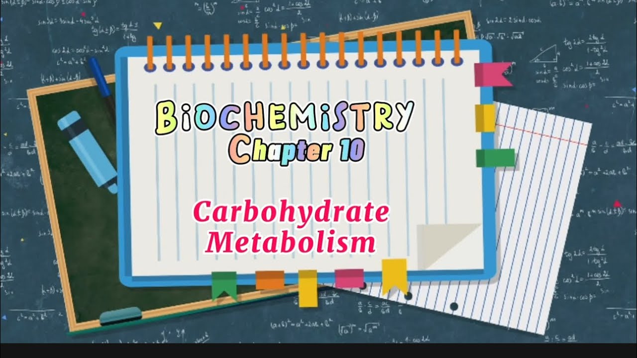 Carbohydrate Metabolism chapter 10 Instant Biochemistry by Faiq Ahmad