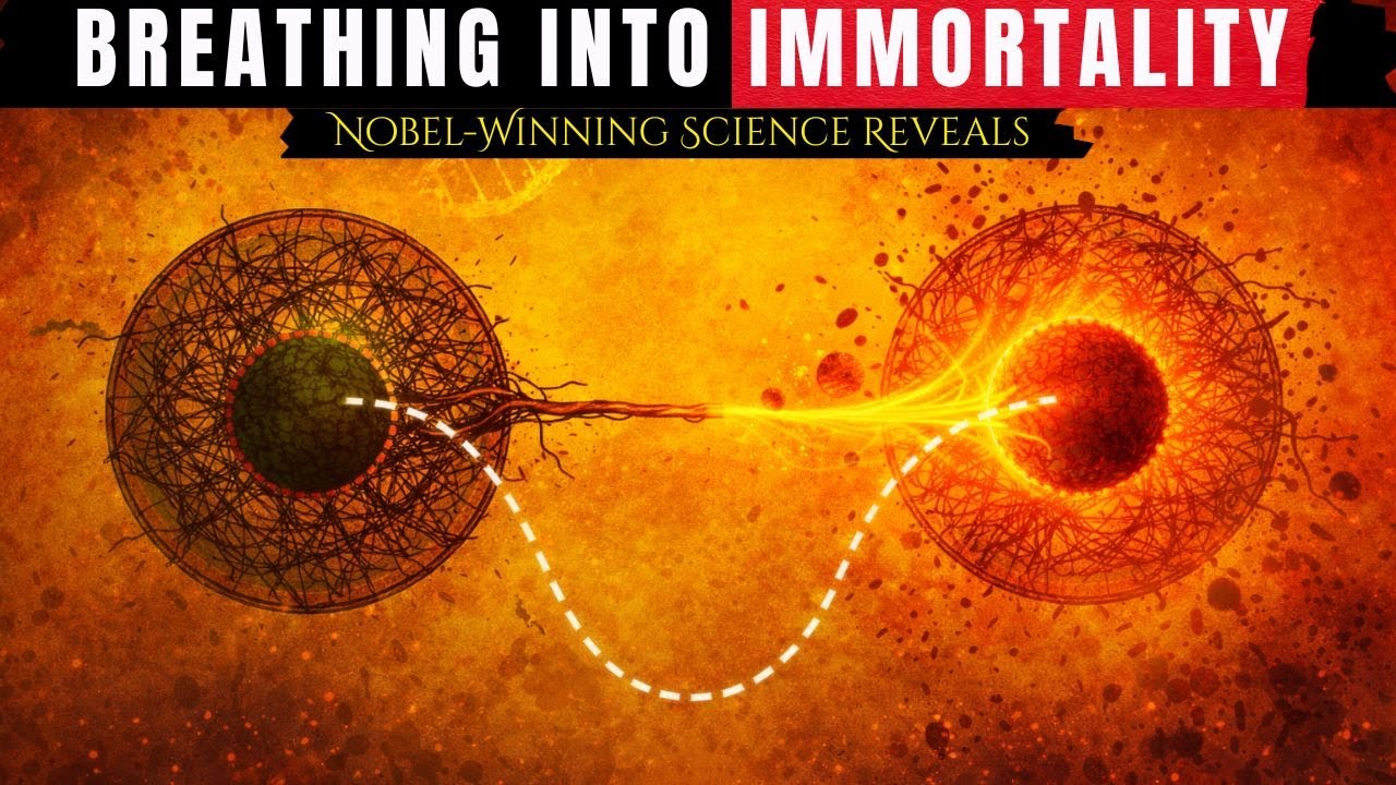 Nobel-Winning Science Reveals How Sleep Can Reverse Aging Naturally