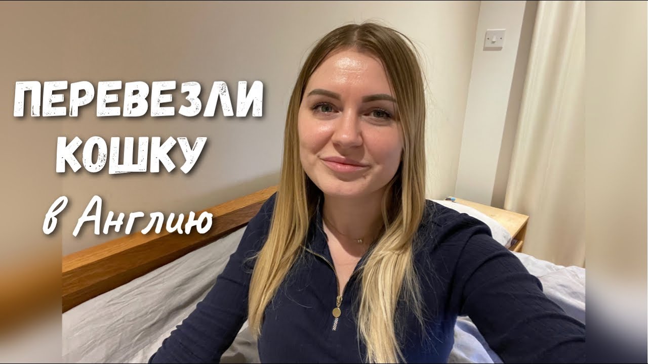 Как перевезти кошку в Великобританию? Наш опыт.