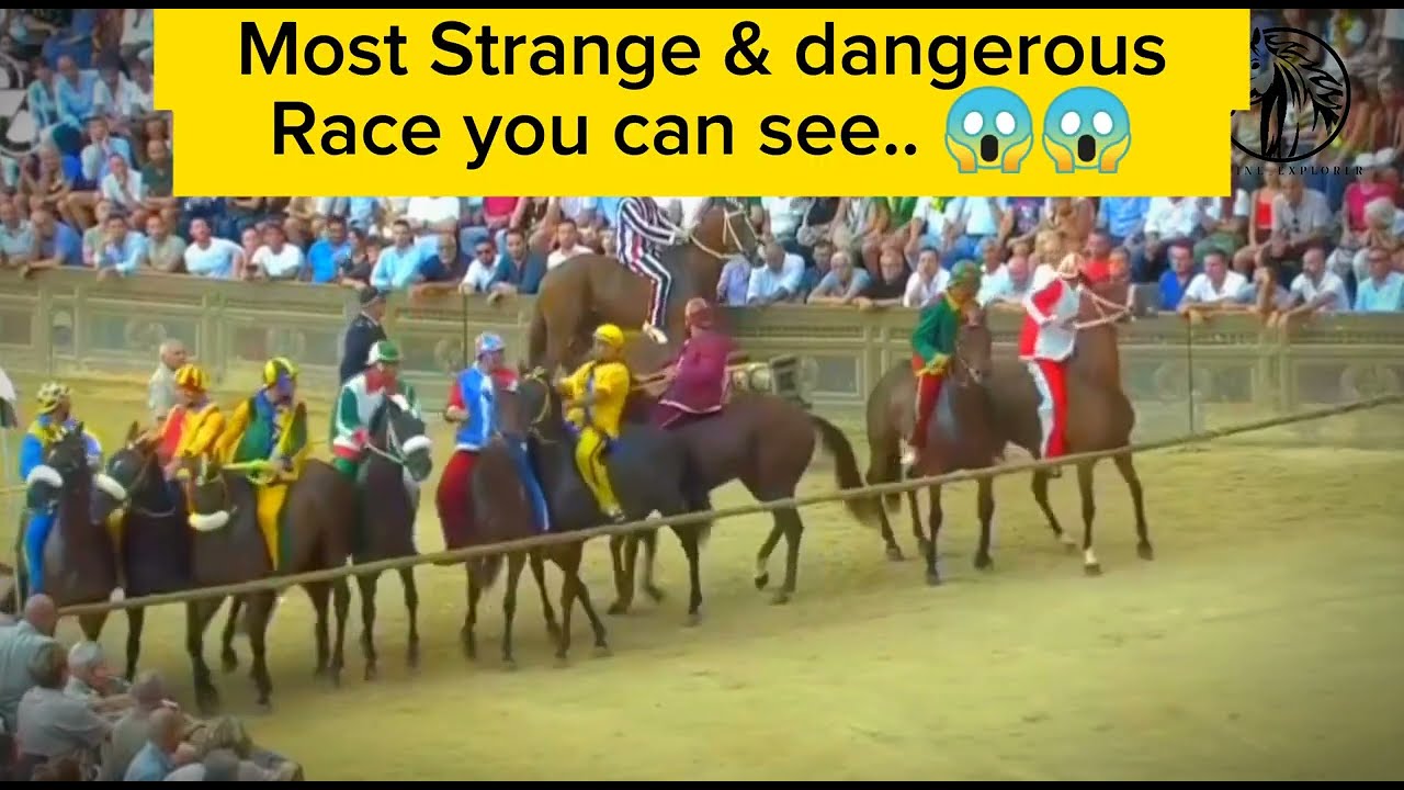 Strange And Dangerous horse race #horse #racing