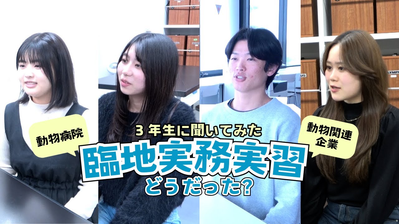 【#愛玩動物看護師】学生に聞いてみた！「臨地実務実習どうだった？」Ⅰ #動物看護 #グルーミング #ドッグトレーニング