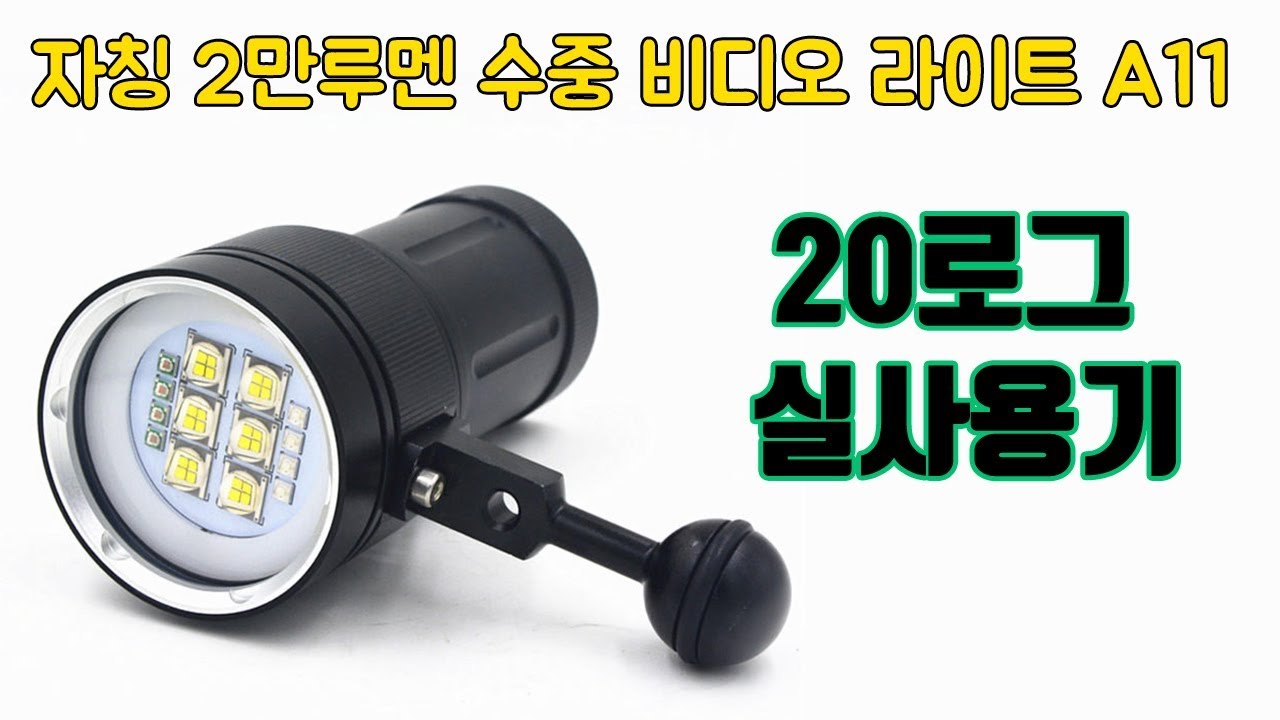 [수중 비디오라이트] A11 20로그 실사용 후기