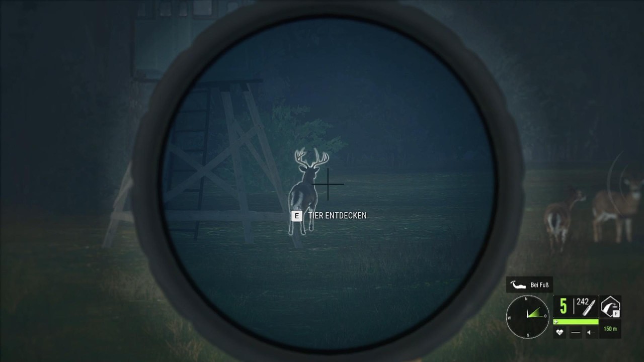 The Hunter Call of the Wild       Feeder Grind auf den Weisswedel Great-One auf Mississippi  Teil 2