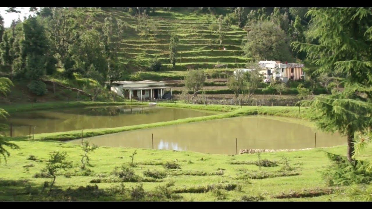 Watershed Community Nainital, Uttarakhand: Water Conservation uder UDWDP-I and SLEM Projects