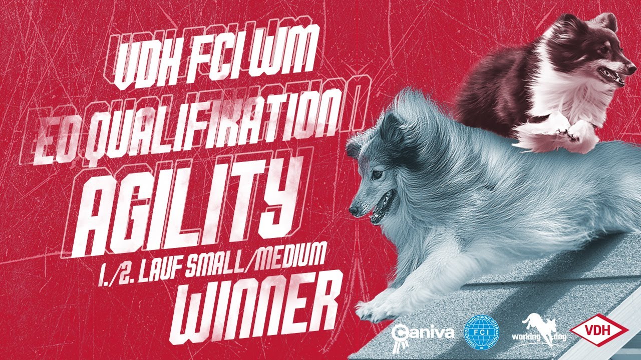 VDH FCI-WM/-EO Qualifikation Agility 1./2. Lauf Small/Medium // Winners