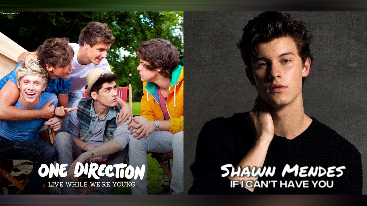 If We Can't Live While We're Young (Shawn Mendes & One Direction Mashup)