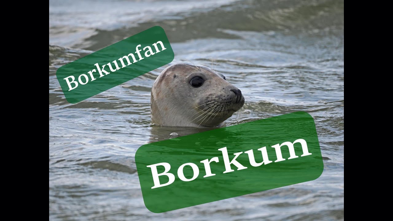 Borkum Sommer 2023