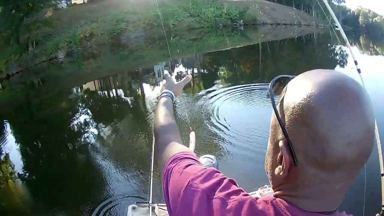 💥CRAPPIE FISHING STANDING TIMBER 80FT TREE IN THE WATER💥