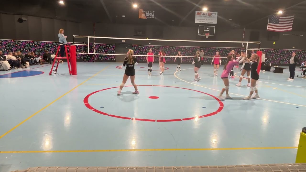 Roller Roost Shockwave 16-2