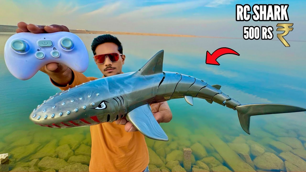 Rc black Shark & Rc Crocodile unboxing & Testing