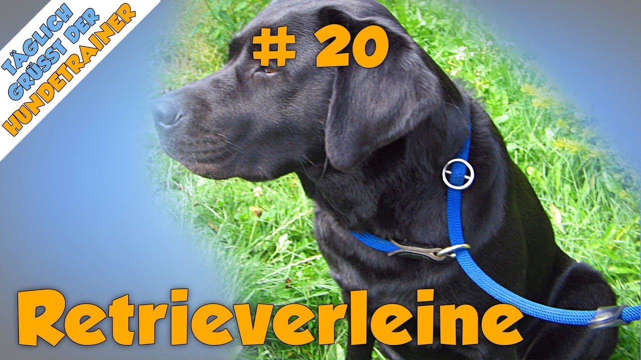 Retrieverleine / Moxonleine / Schlupfleine - TGH 20