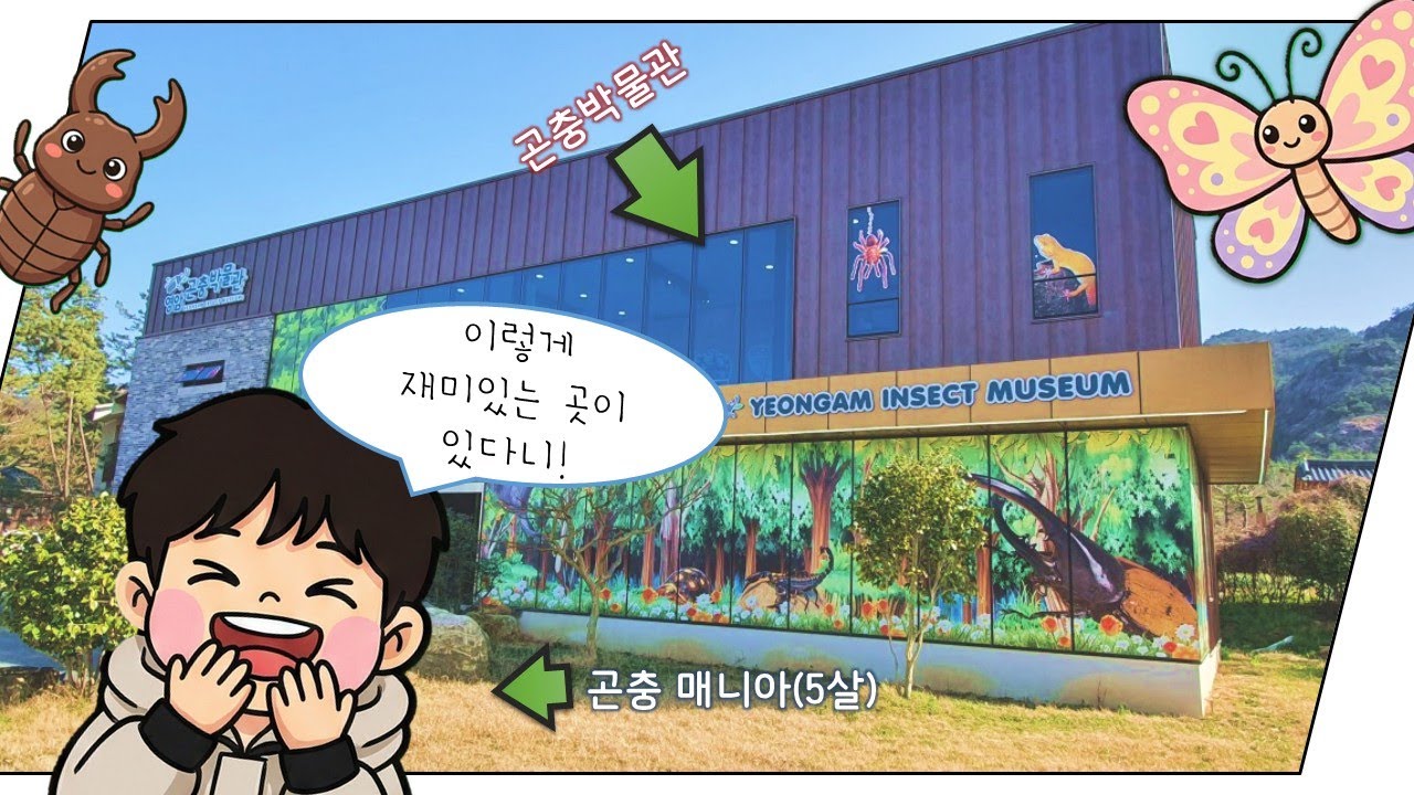 곤충을 책으로만 본 아이가 곤충박물관에 간다면?😅🦋🐛🪳