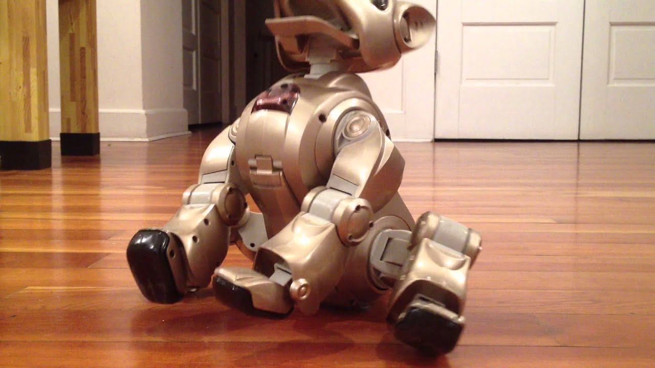 I-Cybie Test