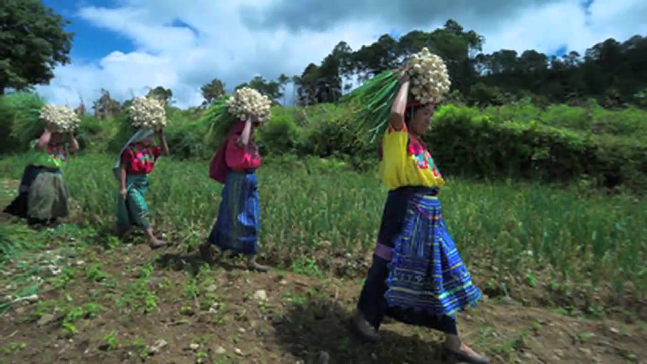 Rural Poverty - In Their Own Words: Guatemala