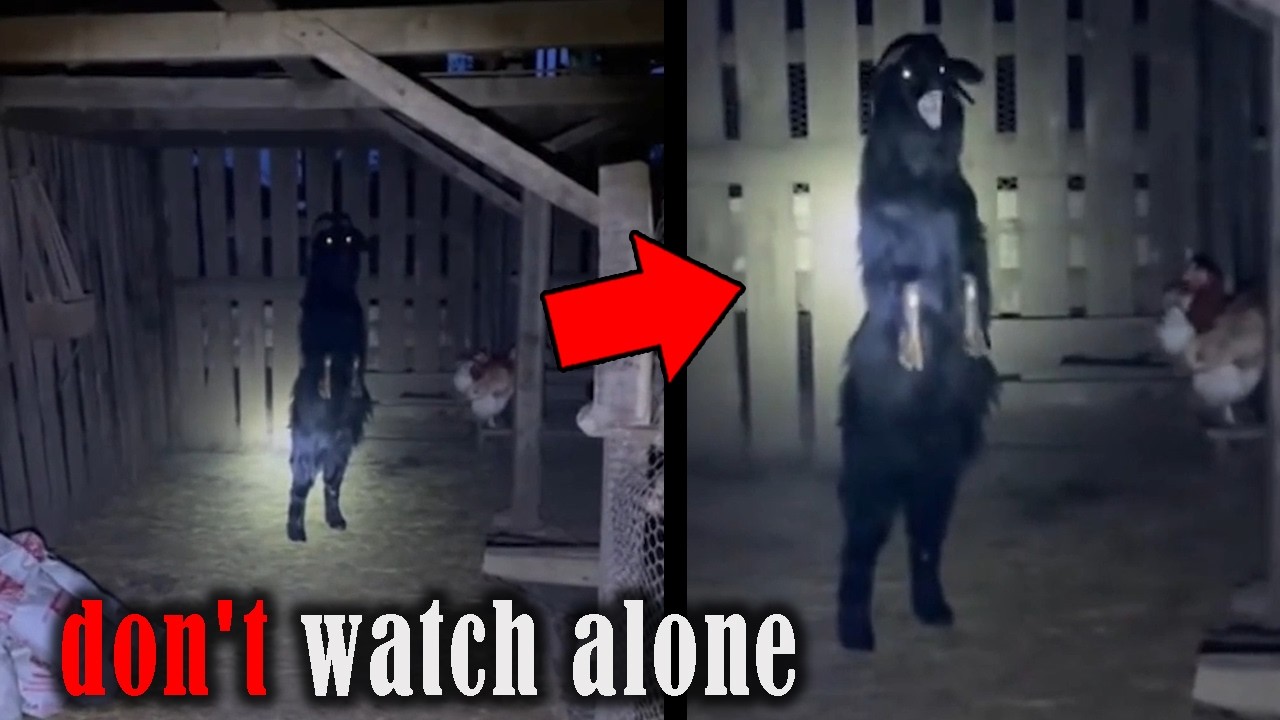 SCARY VIDEOS That Will Make You Feel Watched