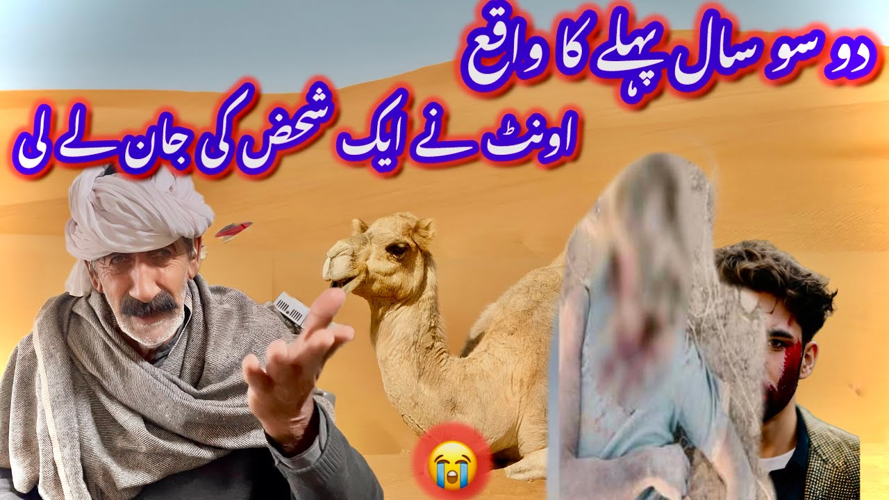 200.. Sall phaly Camel NY ek Admi ke Jan ly Le the USS ke history ke video🐪🐪🐪
