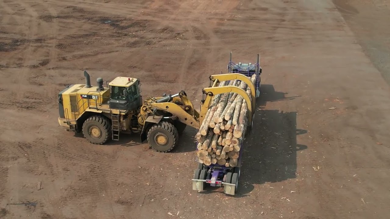 Log Yard in Idaho
